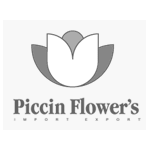 Piccin Flowers