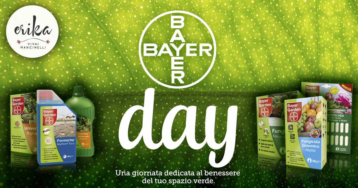 Erika Vivai Bayer Day
